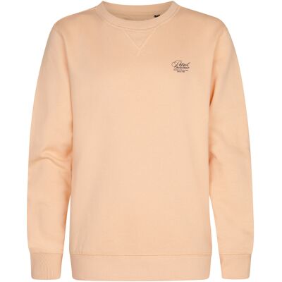 Petrol Industries - Jongens Sweater met print en ronde hals Ocotillo - Oranje 16J / 176cm Petrol Industries - Jongens Sweater met print en ronde hals Ocotillo - Oranje 16J / 176cm