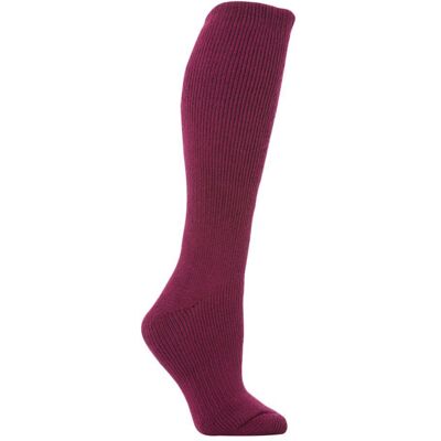 Heat Holders Dames Extra Lange Thermische Sokken - Thermische Sokken Heat Holders Dames Extra Lange Thermische Sokken - Thermische Sokken