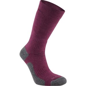 Craghoppers Trek Merino Wollen Sokken voor volwassenen (Wilde bosbes paars) 40 - 42 Craghoppers Trek Merino Wollen Sokken voor volwassenen (Wilde bosbes paars) 40 - 42