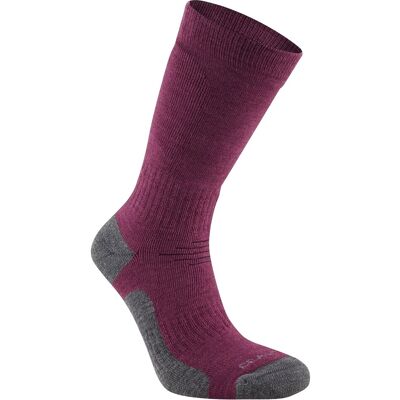 Craghoppers Trek Merino Wollen Sokken voor volwassenen (Wilde bosbes paars) 40 - 42 Craghoppers Trek Merino Wollen Sokken voor volwassenen (Wilde bosbes paars) 40 - 42