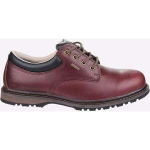 Cotswold Stonesfield Wandelen MEMORY FOAM WATERDICHT Heren 43 Cotswold Stonesfield Wandelen MEMORY FOAM WATERDICHT Heren 43