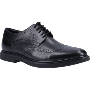 Hush Puppies Kingston Leren Heren Zwarte Brogues Schoenen 42 Hush Puppies Kingston Leren Heren Zwarte Brogues Schoenen 42