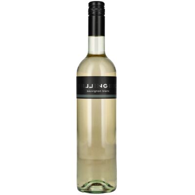 Leo Hillinger Hillinger Sauvignon Blanc 2024 12,5% Vol. 0,75l Leo Hillinger Hillinger Sauvignon Blanc 2024 12,5% Vol. 0,75l