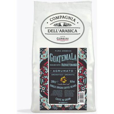 Caffè Corsini Hoogland Koffie - 250g - Koffiebonen Caffè Corsini Hoogland Koffie - 250g - Koffiebonen