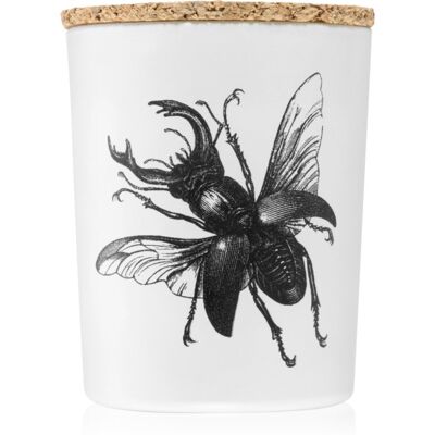 Vila Hermanos Insect Lucanus Cervus geurkaars 75 gr Vila Hermanos Insect Lucanus Cervus geurkaars 75 gr