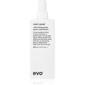 EVO Root Canal Volumising Spray - Haarlak EVO Root Canal Volumising Spray - Haarlak