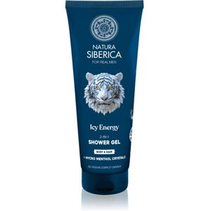 Natura Siberica Arctic Wild Icy Energy Douchegel en Shampoo 2in1 voor Mannen 200 ml Natura Siberica Arctic Wild Icy Energy Douchegel en Shampoo 2in1 voor Mannen 200 ml