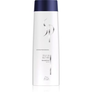WELLA Professionals Wella SP Silver Blond Shampoo voor blond haar - 250 ml WELLA Professionals Wella SP Silver Blond Shampoo voor blond haar - 250 ml