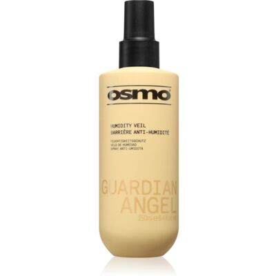 L'Oréal Vegan Anti-Humidity Haar Spray - 250ml L'Oréal Vegan Anti-Humidity Haar Spray - 250ml