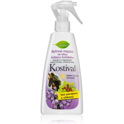 Bione Cosmetics Kostival - Spier- en Gewrichtsolie - 260ml Bione Cosmetics Kostival - Spier- en Gewrichtsolie - 260ml