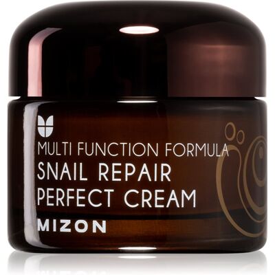 Mizon Multi Function Formula Slakken Gezichtscrème met Slakkensekret 60% - Gezichtscrème Mizon Multi Function Formula Slakken Gezichtscrème met Slakkensekret 60% - Gezichtscrème