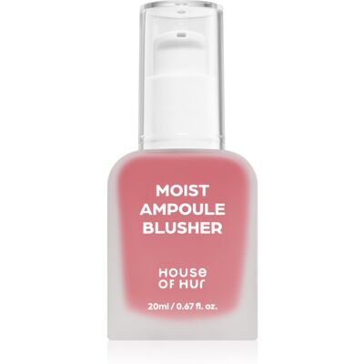 House of Hur Moist Ampoule Blusher Vloeibare Blush Tint 06 Cherry Blossom 20 ml House of Hur Moist Ampoule Blusher Vloeibare Blush Tint 06 Cherry Blossom 20 ml