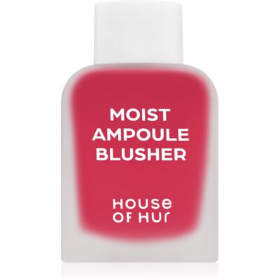 House of Hur Moist Ampoule Blusher Vloeibare Blush Mini Tint 02 Deep Plum 10 ml House of Hur Moist Ampoule Blusher Vloeibare Blush Mini Tint 02 Deep Plum 10 ml