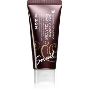 Mizon Multi Function Formula Slak reinigingsschuim - Gezicht 60ml Mizon Multi Function Formula Slak reinigingsschuim - Gezicht 60ml