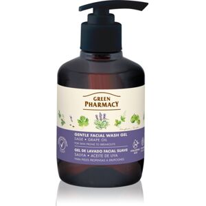 Green Pharmacy Sage & Thyme Face Wash Zachte Reinigingsgel voor Snel Geirriteerde Huid 270 ml Green Pharmacy Sage & Thyme Face Wash Zachte Reinigingsgel voor Snel Geirriteerde Huid 270 ml