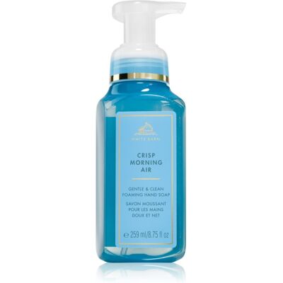 Bath & Body Works Crisp Morning Air Vloeibare Handzeep 259 ml Bath & Body Works Crisp Morning Air Vloeibare Handzeep 259 ml