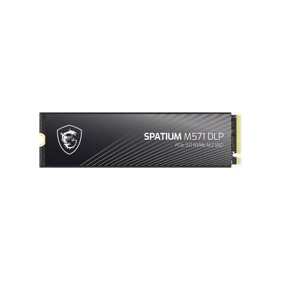 MSI SPATIUM M571 DLP 4TB MSI SPATIUM M571 DLP 4TB
