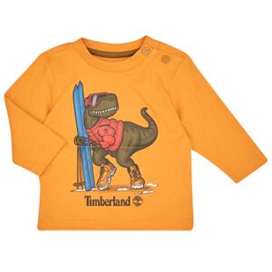 Timberland T-Shirt Lange Mouw TEE-SHIRT MANCHES LONGUES T60253 Geel Timberland T-Shirt Lange Mouw TEE-SHIRT MANCHES LONGUES T60253 Geel