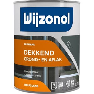 Wijzonol Zwart Grond- en Aflak - Verf Wijzonol Zwart Grond- en Aflak - Verf