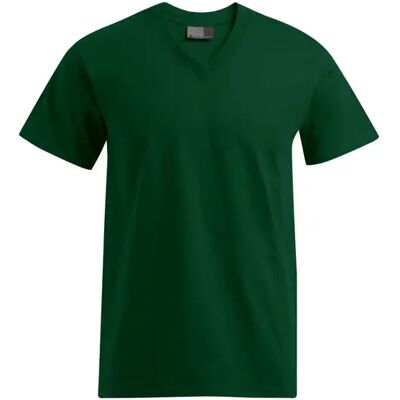 T-shirt met V-hals Promodoro Premium Vert 5XL T-shirt met V-hals Promodoro Premium Vert 5XL