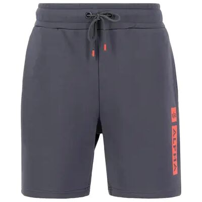 Korte Alpha Industries PP Grijs XS Korte Alpha Industries PP Grijs XS