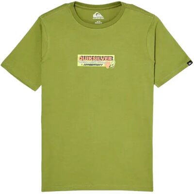 T-shirt kind Quiksilver Specialize Vert 16 ans T-shirt kind Quiksilver Specialize Vert 16 ans