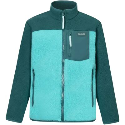 Kinderfleece Regatta Frankie Warm Vert 15/16 jaar oud Kinderfleece Regatta Frankie Warm Vert 15/16 jaar oud