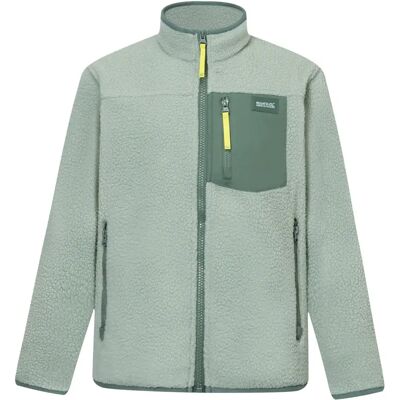 Kinderfleece Regatta Frankie Warm Vert 15/16 jaar oud Kinderfleece Regatta Frankie Warm Vert 15/16 jaar oud