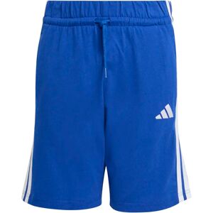 Kinderbroeken adidas Essentials Bleu 13/14 ans Kinderbroeken adidas Essentials Bleu 13/14 ans