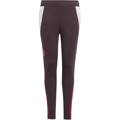 Adidas Trainingsbroek voor kinderen Bayern Munich Tiro 2024/25 Rouge 11/12 ans Adidas Trainingsbroek voor kinderen Bayern Munich Tiro 2024/25 Rouge 11/12 ans