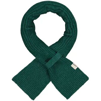 Sjaal small kind Barts Basalth Vert TU Sjaal small kind Barts Basalth Vert TU