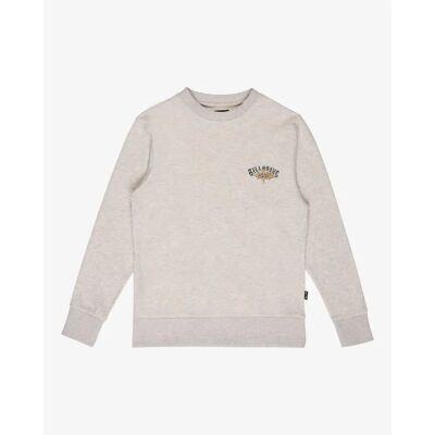 Junior Sweatshirt Billabong Foundation CR Gris 14 ans Junior Sweatshirt Billabong Foundation CR Gris 14 ans