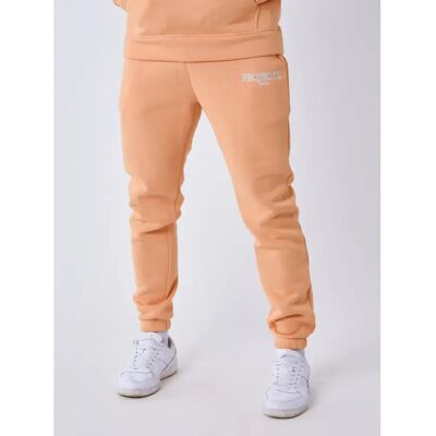 Broek met geborduurde Contour jogging Project X Paris Orange XL Broek met geborduurde Contour jogging Project X Paris Orange XL