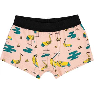 Boxershorts voor babyjongens Raspberry Republic Rose 46/49 Boxershorts voor babyjongens Raspberry Republic Rose 46/49