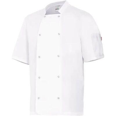 Korte Mouwen Keukenjack Met Drukknopen Velilla Blanc 60 Korte Mouwen Keukenjack Met Drukknopen Velilla Blanc 60