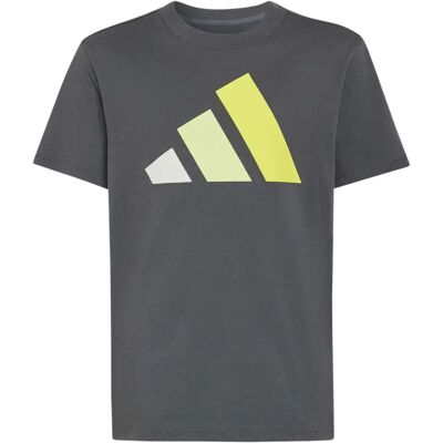 T-shirt katoen kind adidas Essentials Boy Love Gris 7/8 ans T-shirt katoen kind adidas Essentials Boy Love Gris 7/8 ans