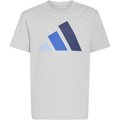 T-shirt katoen kind adidas Essentials Boy Love Gris 11/12 ans T-shirt katoen kind adidas Essentials Boy Love Gris 11/12 ans