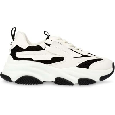 Trainers Steve Madden Possess Noir 43 Trainers Steve Madden Possess Noir 43