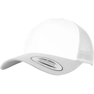 Pet Flexfit retro colored front Argenté TU Pet Flexfit retro colored front Argenté TU