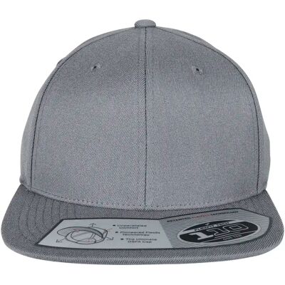 Pet Flexfit 110 Gris TU Pet Flexfit 110 Gris TU