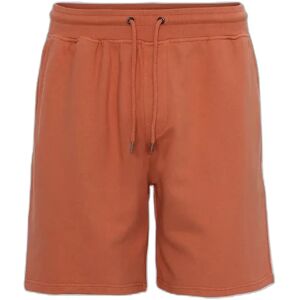 Short Colorful Standard Classic Organic dark amber Rouge L Short Colorful Standard Classic Organic dark amber Rouge L