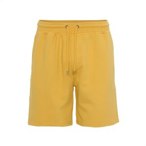Colorful Standard Burned Yellow Organic Sweatshorts - M - Unisex Colorful Standard Burned Yellow Organic Sweatshorts - M - Unisex