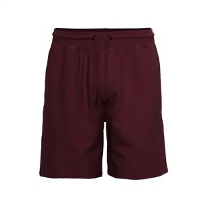 Short Colorful Standard Classic Organic oxblood red Rouge M Short Colorful Standard Classic Organic oxblood red Rouge M