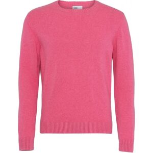 Wollen trui met ronde hals Colorful Standard Classic Merino bubblegum pink Rose S Wollen trui met ronde hals Colorful Standard Classic Merino bubblegum pink Rose S