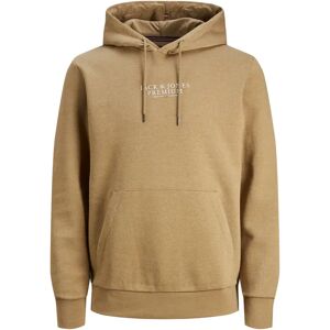 Hoodie Jack & Jones Jprbluarchie Bleu S Hoodie Jack & Jones Jprbluarchie Bleu S