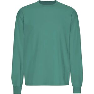 T-shirt met oversized lange mouwen Colorful Standard Organic Pine Green Vert S T-shirt met oversized lange mouwen Colorful Standard Organic Pine Green Vert S