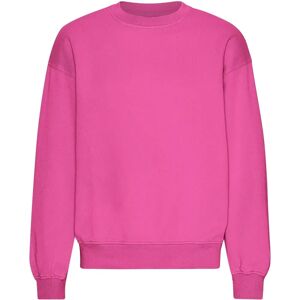 Dames sweatshirt met oversized ronde hals Colorful Standard Organic Bubblegum Pink Rose M Dames sweatshirt met oversized ronde hals Colorful Standard Organic Bubblegum Pink Rose M