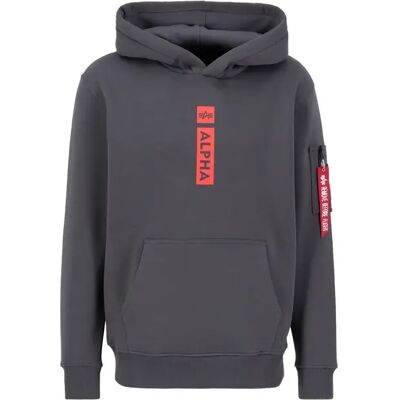 Hoodie Alpha Industries PP Gris M Hoodie Alpha Industries PP Gris M