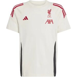 Liverpool Trainings-T-Shirt - Kids 15/16 Years - 86-91 cm Liverpool Trainings-T-Shirt - Kids 15/16 Years - 86-91 cm