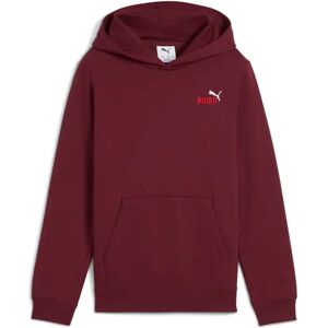 Junior Hoodie Puma Essentials 2 Rouge 14 ans Junior Hoodie Puma Essentials 2 Rouge 14 ans